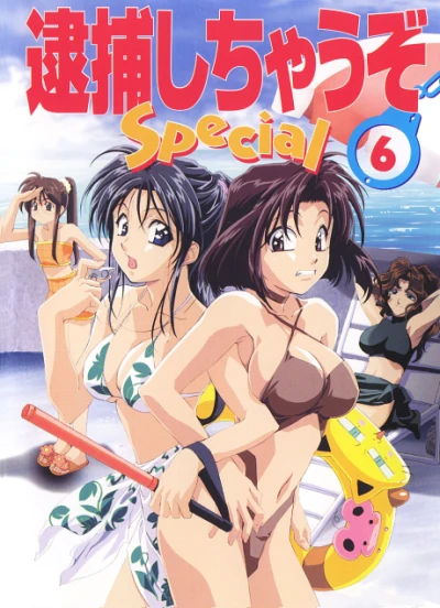 Anime: You’re Under Arrest Special: Diverting Traffic at the Beach