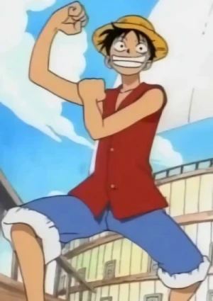 Anime: Kinkyuu Kikaku One Piece Kanzen Kouryakuhou