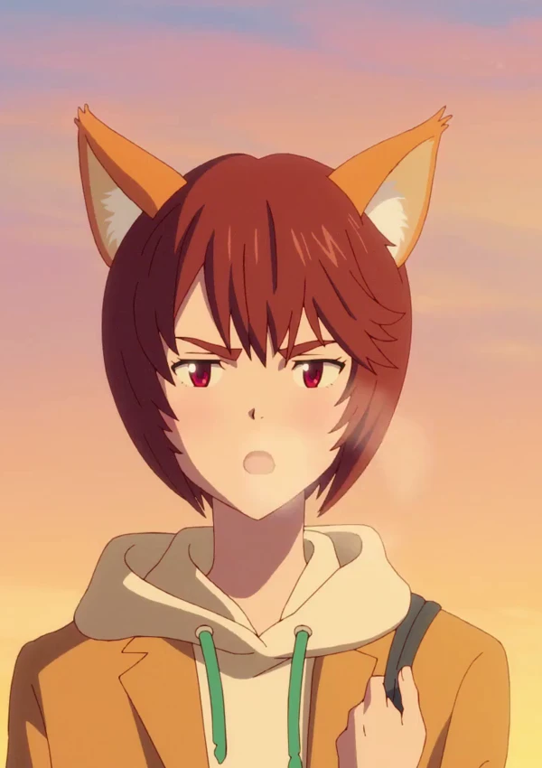 Dongitsune Season 2: Shoujikisugiru Shippo Hen