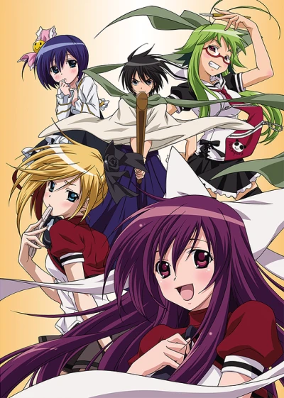 Anime: Samurai Harem