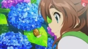 Anime: Ajisai Hen