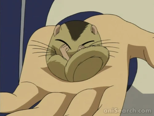 Screenshots [85381]