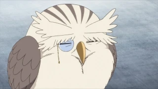 Episodio 11
