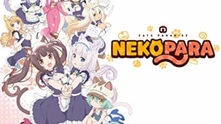 Streams: NekoparA