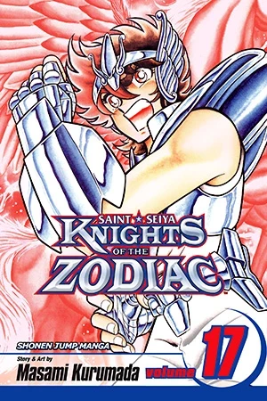 Knights of the Zodiac - Vol. 17