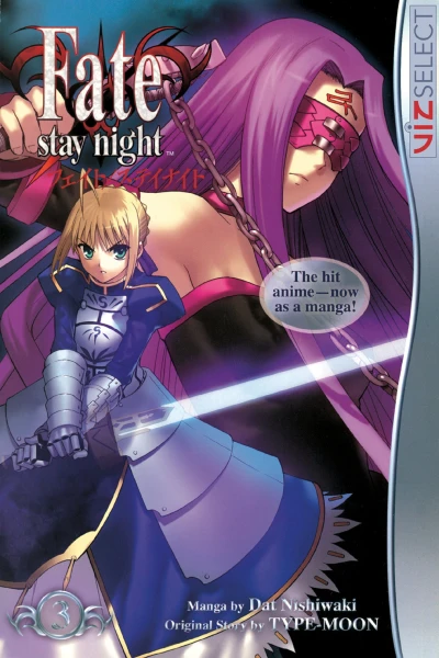 Fate/Stay Night - Vol. 03 [eBook]