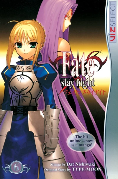 Fate/Stay Night - Vol. 06 [eBook]