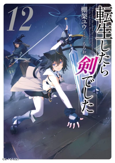 転生したら剣でした - 第12巻