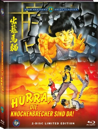 Hurra, die Knochenbrecher sind da! - Limited Mediabook Edition [Blu-ray+DVD]: Cover C
