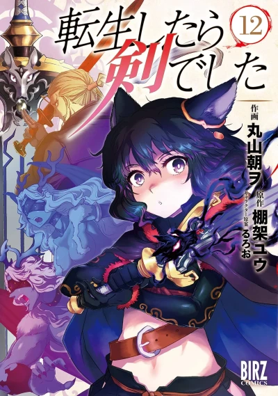 転生したら剣でした - 第12巻