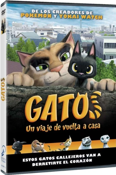 Gatos: Un viaje de vuelta a casa