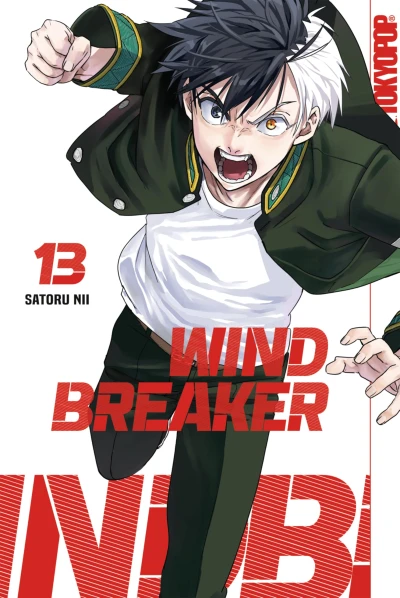 Wind Breaker - Bd. 13 [eBook]
