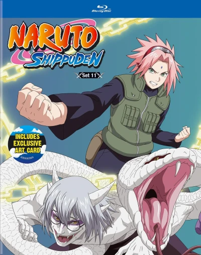Naruto Shippuden - Box 11/18 [Blu-ray]