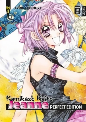 Kamikaze Kaito Jeanne: Perfect Edition - Bd. 05 [eBook]