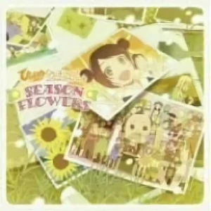 Himawari! - Season Flowers