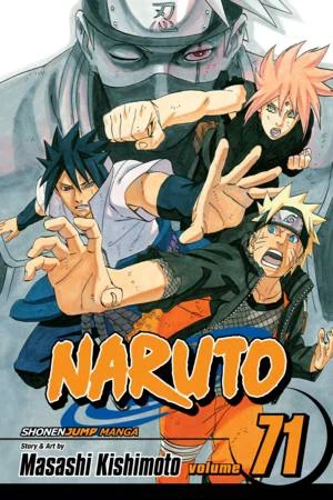 Naruto - Vol. 71 [eBook]