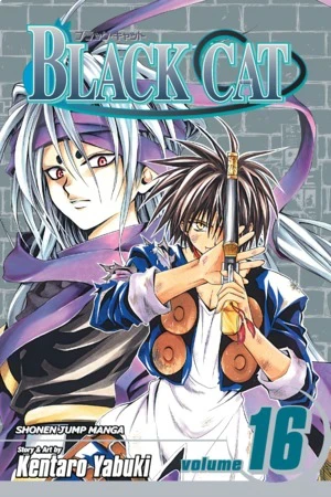 Black Cat - Vol. 16 [eBook]