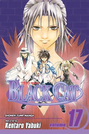 Black Cat - Vol. 17 [eBook]