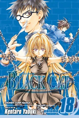 Black Cat - Vol. 18 [eBook]