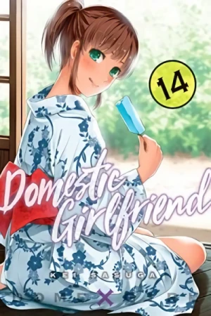 Domestic Girlfriend - Vol. 14 [eBook]