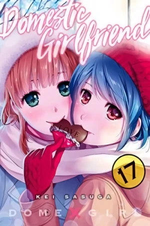 Domestic Girlfriend - Vol. 17 [eBook]