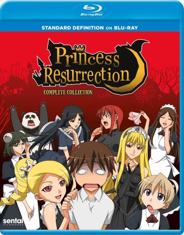 Princess Resurrection - Complete Series [SD on Blu-ray]