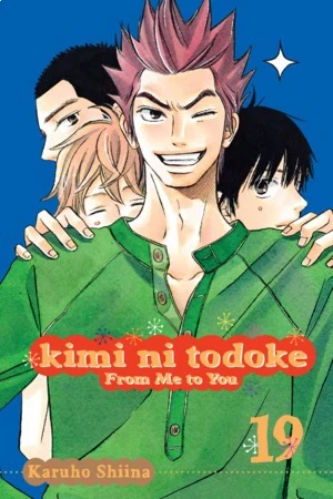 Kimi ni Todoke: From Me to You - Vol. 19 [eBook]