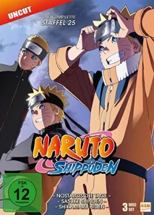 Naruto Shippuden: Staffel 25