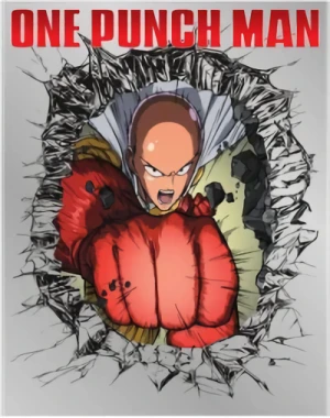 One Punch Man: Season 1 + OVAs: Limited Edition [Blu-ray+DVD]