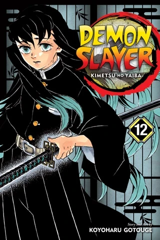 Demon Slayer: Kimetsu no Yaiba - Vol. 12