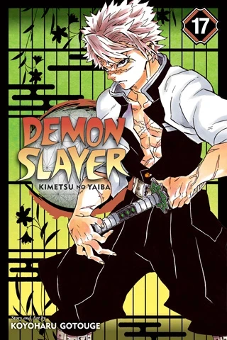 Demon Slayer: Kimetsu no Yaiba - Vol. 17