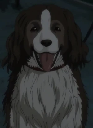 Toby