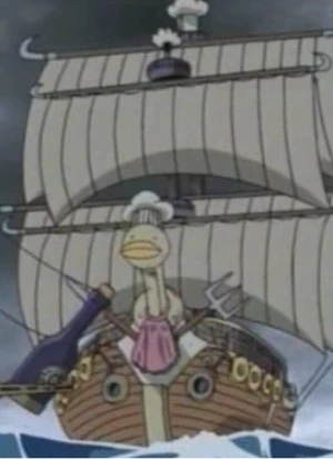Cook Pirates