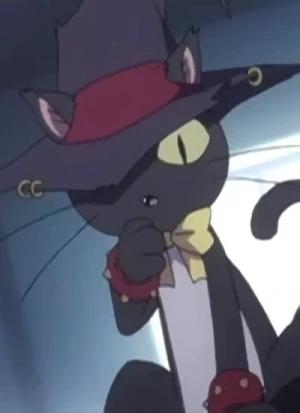 Character: Black Cat