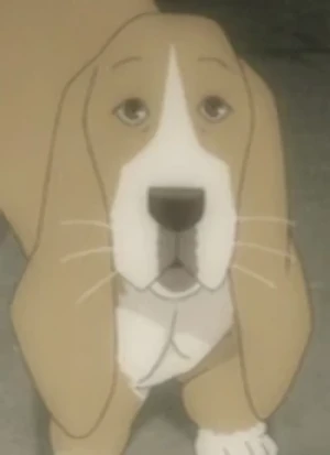 Character: Sasakura's Dog