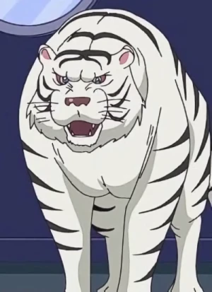 Character: White Tiger
