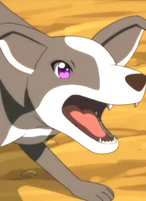Character: Nagisa MIKOGAMI [Greyhound]