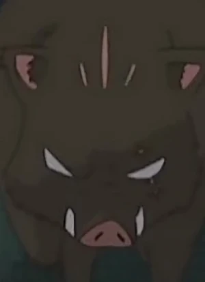 Character: Wild Boar