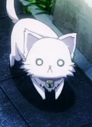 Character: Neko  [Cat Form]