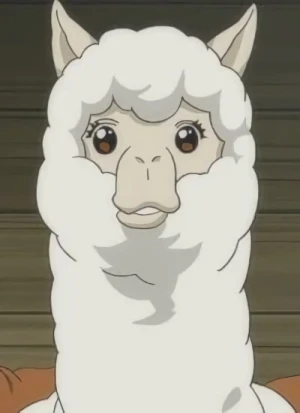 Character: Alpaca