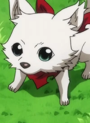 Character: Momoo INUGAMI [Dog]