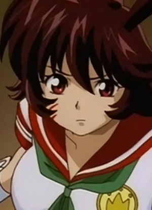Character: Mikami INABA [Bunnygirl]