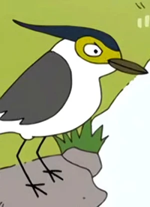 Character: Green-backed Heron