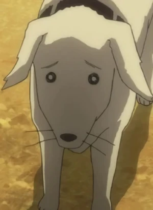 Character: Dog