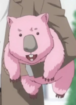 Character: Wombat