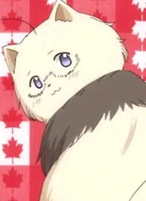 Character: Canada-cat