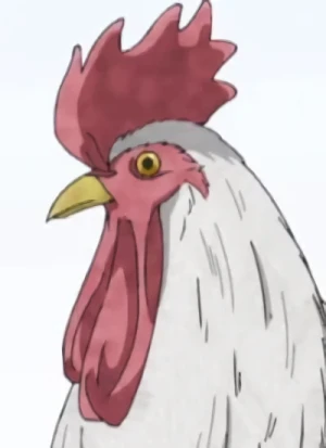Character: Chicken