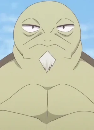 Turtle – aniSearch.com