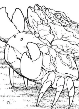 Character: Fushi  [Crab]