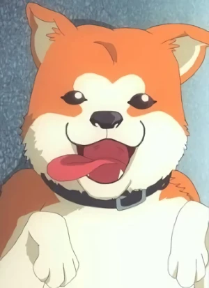 Akita's Dog